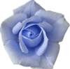 Smiley gratuit amour 116383