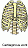 Smiley gratuit anatomie 123750