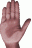 Smiley gratuit anatomie 123652