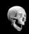 Smiley gratuit anatomie 123727