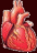 Smiley gratuit anatomie 123672