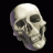Smiley gratuit anatomie 123817