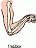 Smiley gratuit anatomie 123778