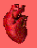 Smiley gratuit anatomie 123788