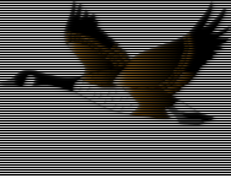 animals Smiley No 179371