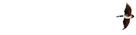 animals Smiley No 178945