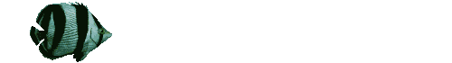 animals Smiley No 177314