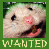 Smiley gratuit anim� 139547