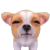 Smiley gratuit baisers 166057