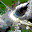 Smiley gratuit célébrités n99940