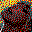 Smiley gratuit célébrités n99293