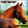 Smiley gratuit cheval 169783