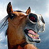 Smiley gratuit cheval n169799