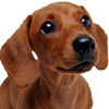 dog Smiley No 190310