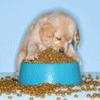 Smiley gratuit chien n190219