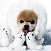 Smiley gratuit chien n190220