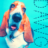 Smiley gratuit chien n190233