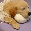 dog Smiley No 190299