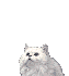 Smiley gratuit chiens et chats 103990