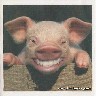 Smiley gratuit divers 159421