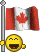 Smiley drapeaux n�227 