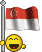 Smiley drapeaux n�260 