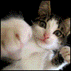 Smiley gratuit fun 125310