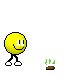 coarse Smiley No 133043