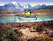 Smiley international n�21 