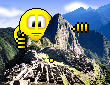 Smiley international n�37 