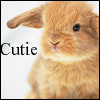 Smiley gratuit lapin 182752