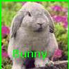 Smiley gratuit lapin 182759
