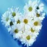 love Smiley No 174032