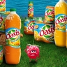 Smiley gratuit oasis n174910