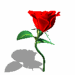 Smiley objets n�146 