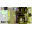 Smiley gratuit objets n97349