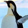 Smiley gratuit oiseau 141830