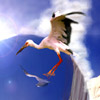 Smiley gratuit oiseau 141998