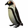 Smiley gratuit oiseau 142034