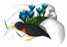 Smiley gratuit oiseau 141823