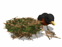 Smiley gratuit oiseau 141925