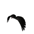 Smiley gratuit oiseau 142020