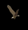 Smiley gratuit oiseau 141924