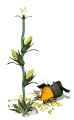Smiley gratuit oiseau 142039