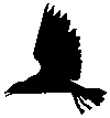Smiley gratuit oiseau 141812