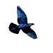 Smiley gratuit oiseau 141816