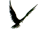 Smiley gratuit oiseau 141954