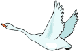 Smiley gratuit oiseau 141703