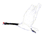 Smiley gratuit oiseau 141809