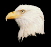 Smiley gratuit oiseau 141840